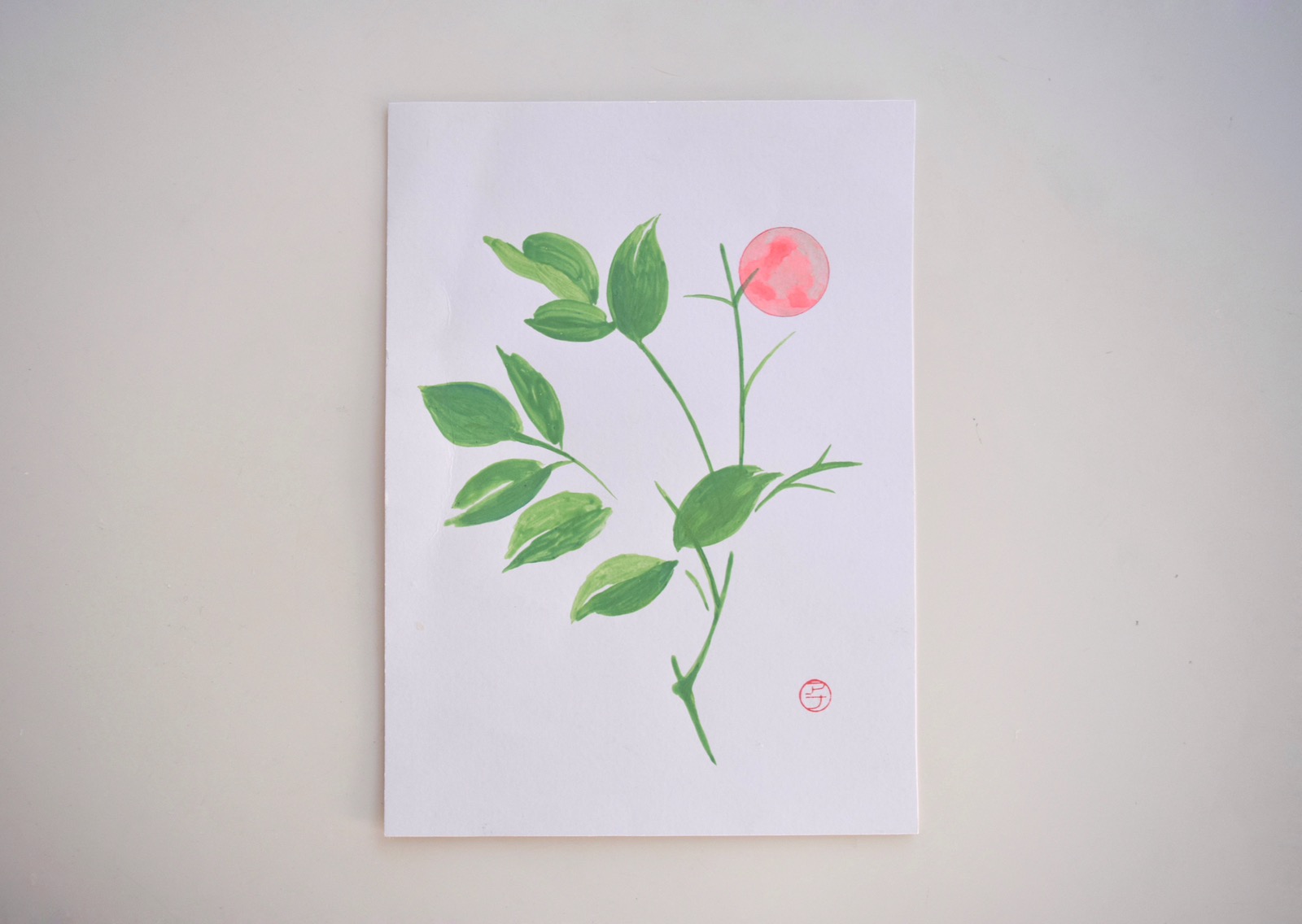 ana jovanovska flora series